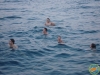 DSC01803_ot.JPG